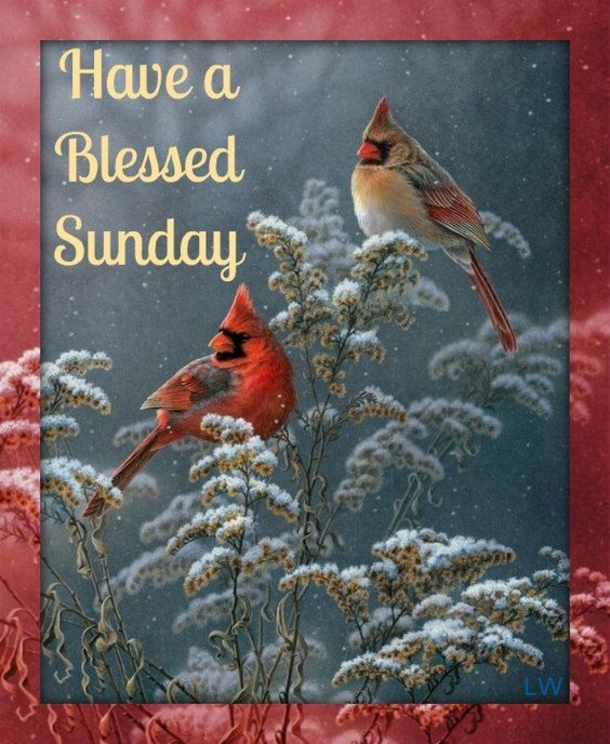 10 New, Beautiful & Blessed Sunday Image Quotes - picture 4