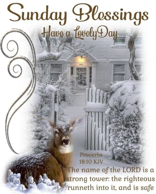 10 New, Beautiful & Blessed Sunday Image Quotes - picture 7