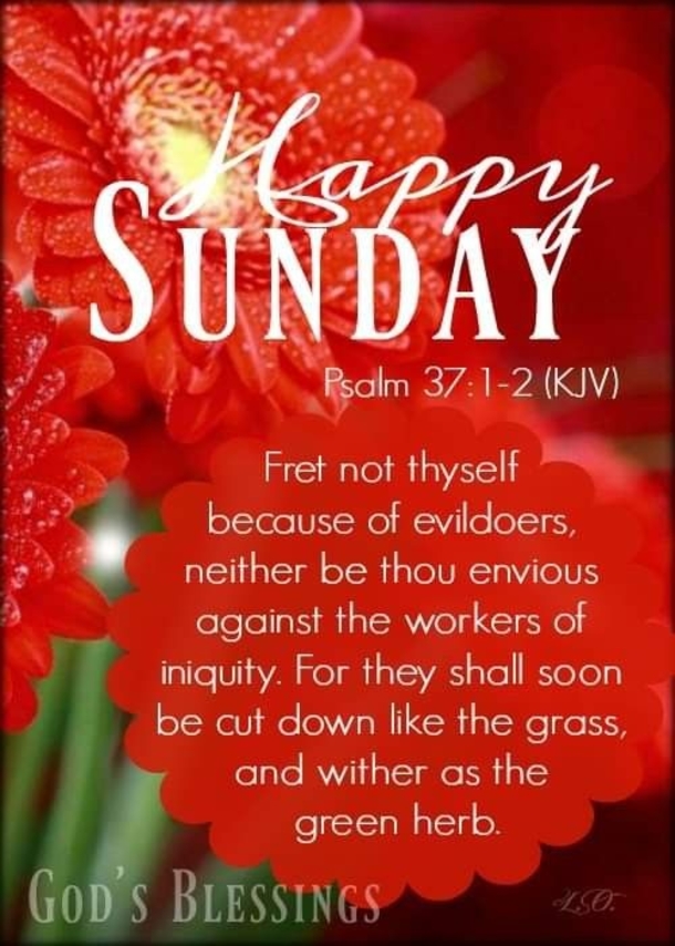 10 New Best Sunday Blessings Images - picture 4