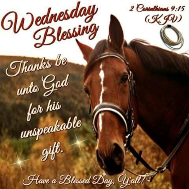 10 New Blessed Wednesday Quotes To Share With Friends And Family - picture 2