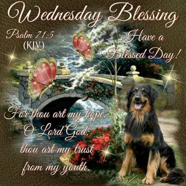 10 New Blessed Wednesday Quotes To Share With Friends And Family - picture 8