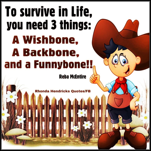 10 New Daily Funny Quotes And Sayings - picture 10