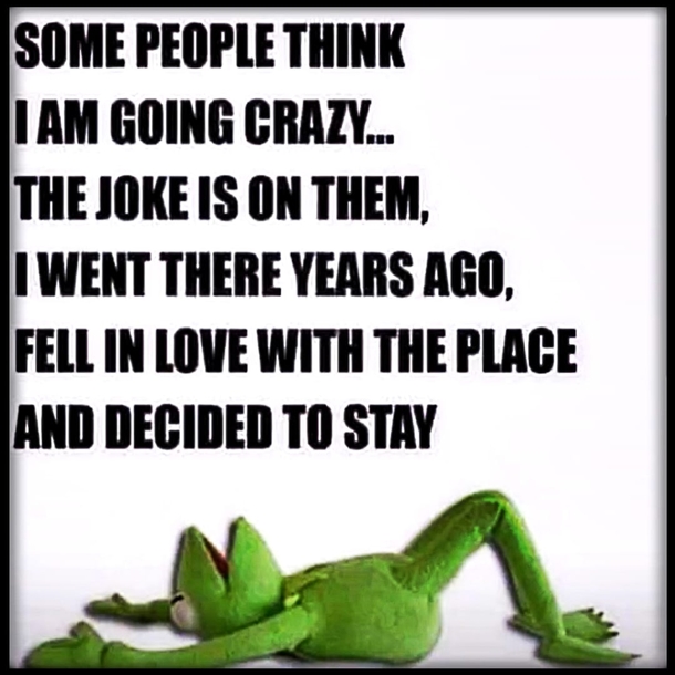 10 New Daily Funny Quotes And Sayings - picture 4