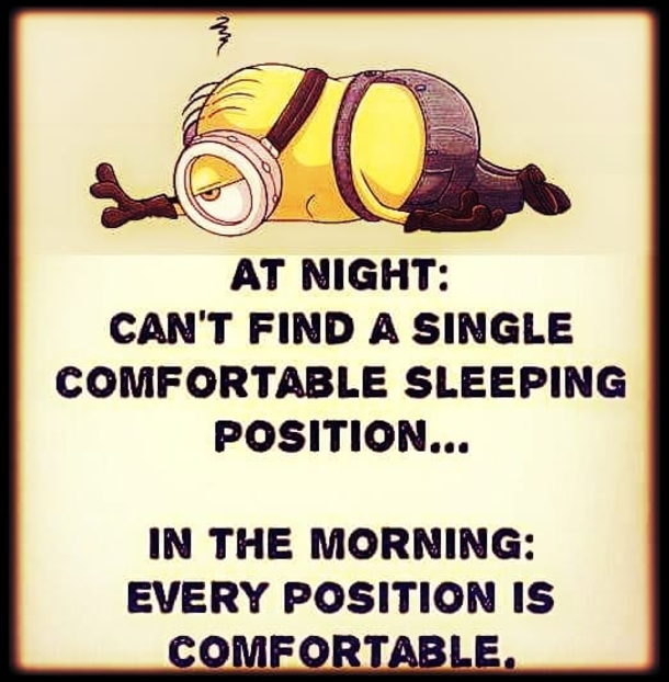10 New Daily Funny Quotes And Sayings - picture 5