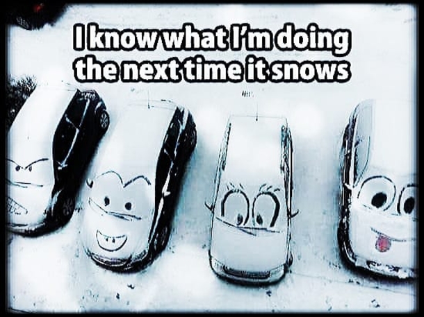 10 New Daily Funny Quotes And Sayings - picture 8