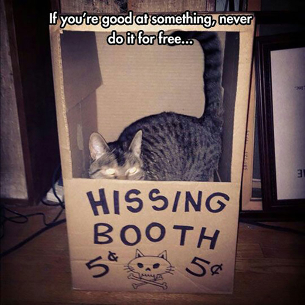 10 New Funny Memes That Are Sure To Make You Laugh - picture 7