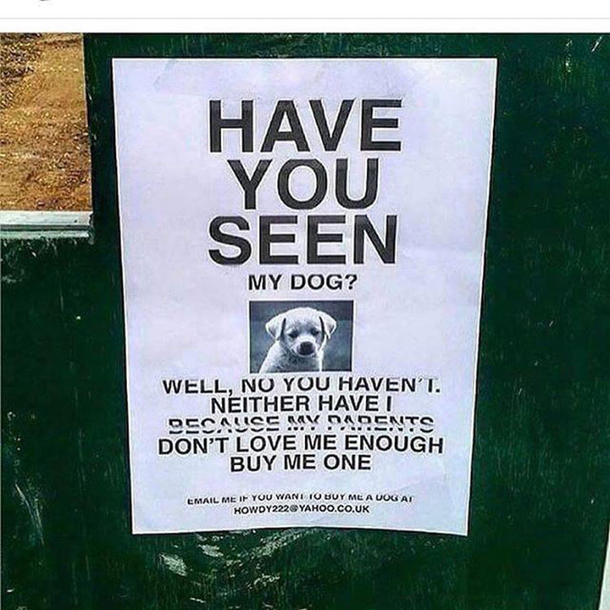 10 New Funny Memes That Are Sure To Make You Laugh - picture 8