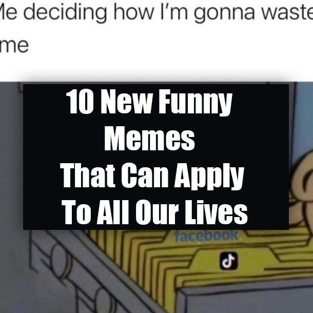 10 New Funny Memes That Can Apply To All Our Lives