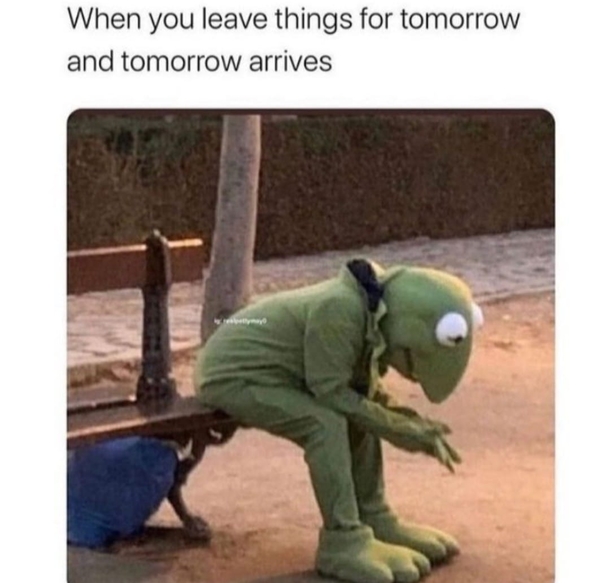 10 New Funny Memes That Can Apply To All Our Lives - picture 6