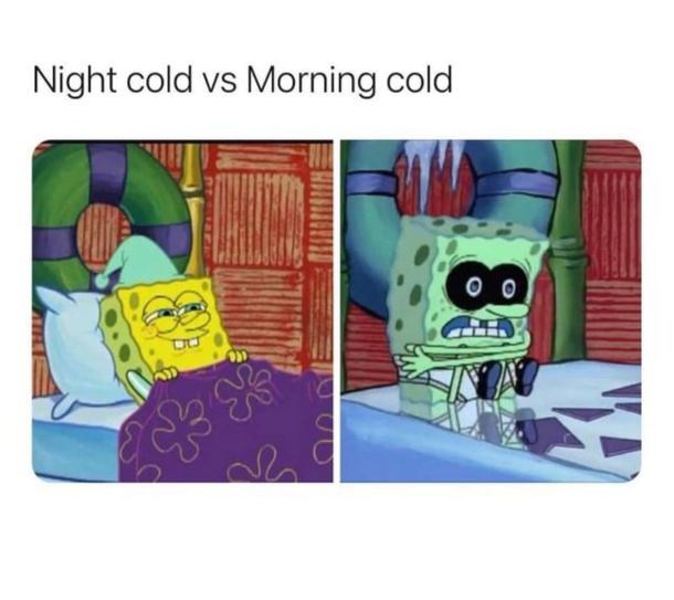 10 New Funny Memes That Can Apply To All Our Lives - picture 8