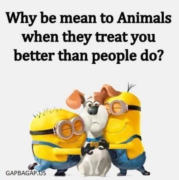 10 New Funny Minion Quotes For 2019 - picture 12
