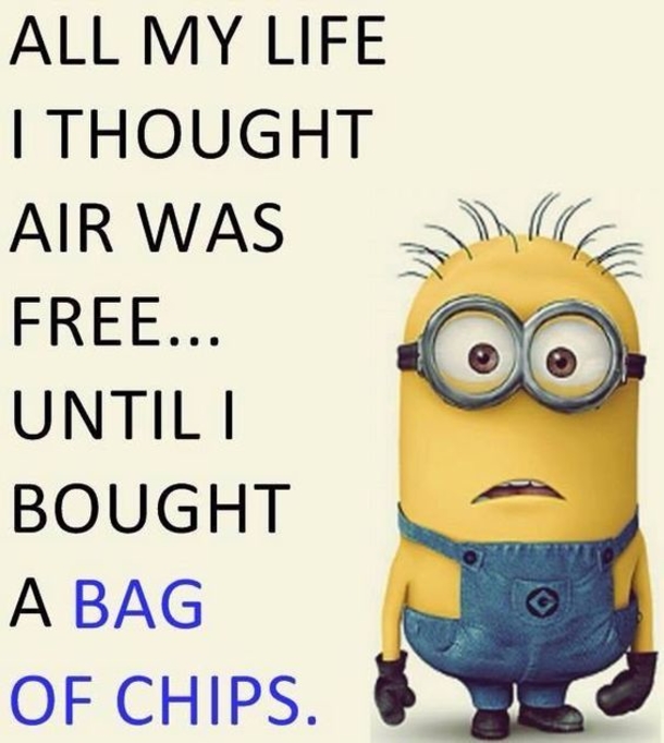 10 New Funny Minion Quotes For 2019 - picture 13