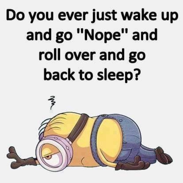 10 New Funny Minion Quotes For 2019 - picture 4