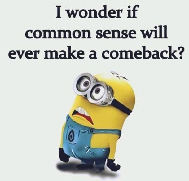 10 New Funny Minion Quotes For 2019 - picture 7