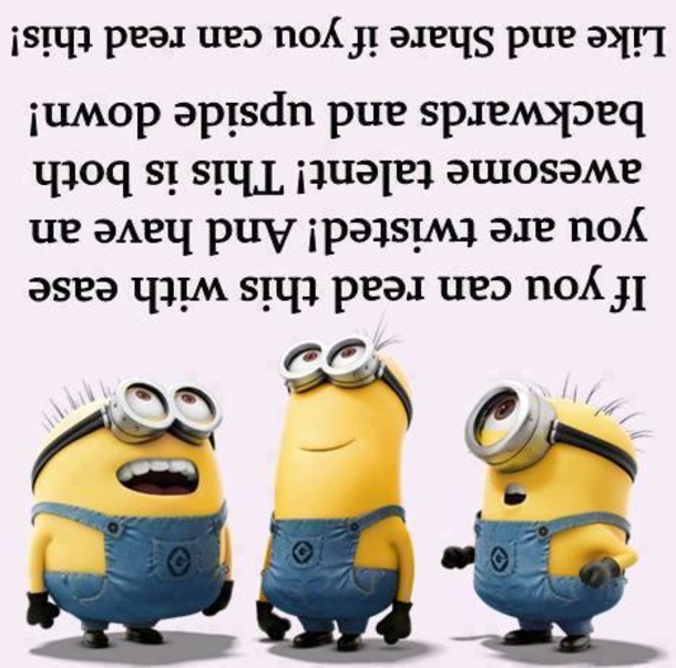10 New Funny Quotes That Will Bring You To Tears - picture 11