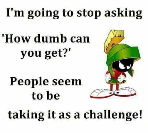 10 New Funny Quotes That Will Bring You To Tears - picture 2
