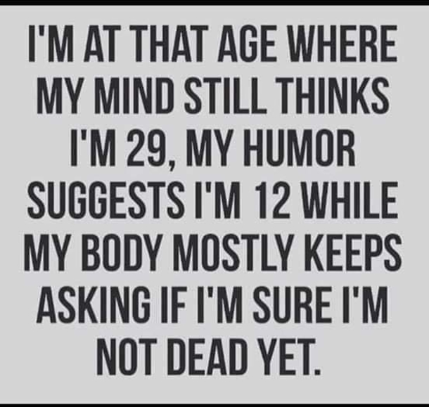10 New Funny Quotes That Will Bring You To Tears - picture 8