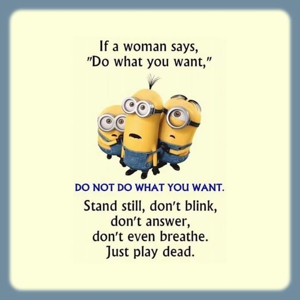 10 New Funny Quotes That Will Bring You To Tears - picture 9