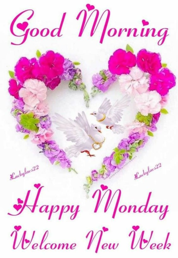 10 New Good Morning Quotes For Monday - picture 7