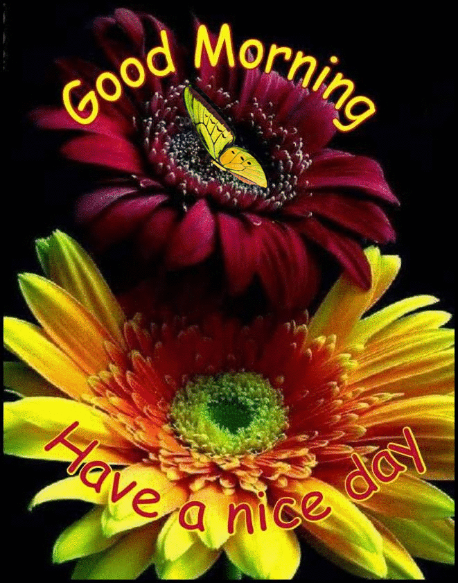 10 New Good Morning Quotes & Images - picture 8