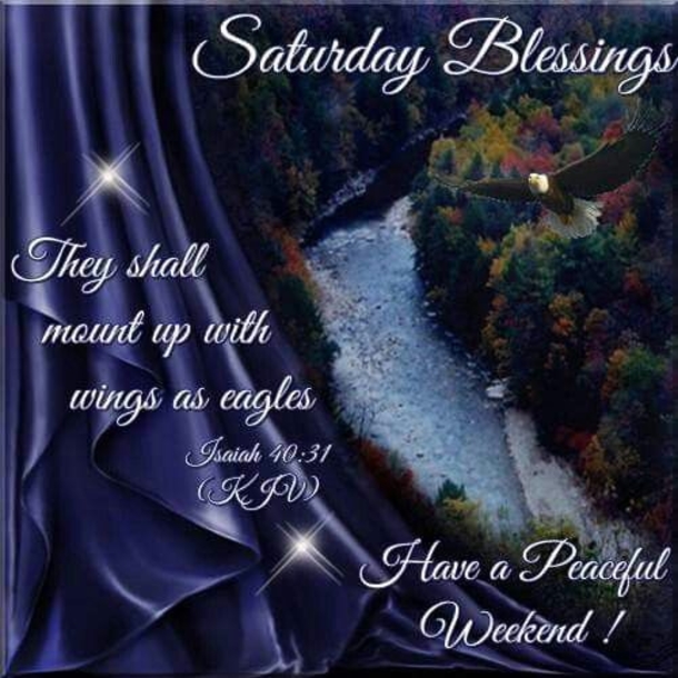 10+ New Good Morning Saturday Quotes And Pictures - picture 12