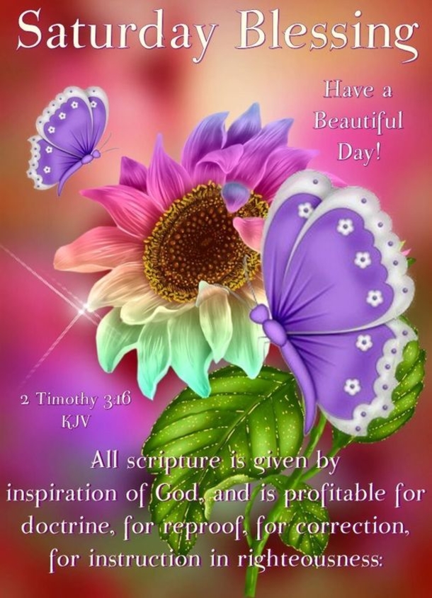 10+ New Good Morning Saturday Quotes And Pictures - picture 14