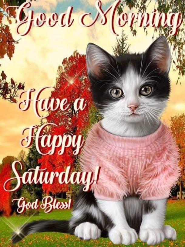 10+ New Good Morning Saturday Quotes And Pictures - picture 6