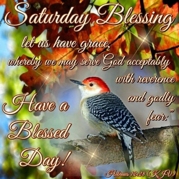 10+ New Good Morning Saturday Quotes And Pictures - picture 8