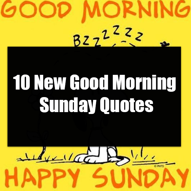 10 New Good Morning Sunday Quotes