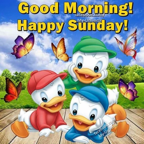 10 New Good Morning Sunday Quotes - picture 10