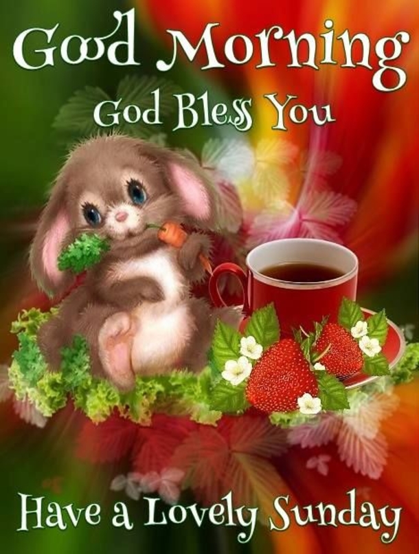 10 New Good Morning Sunday Quotes - picture 11