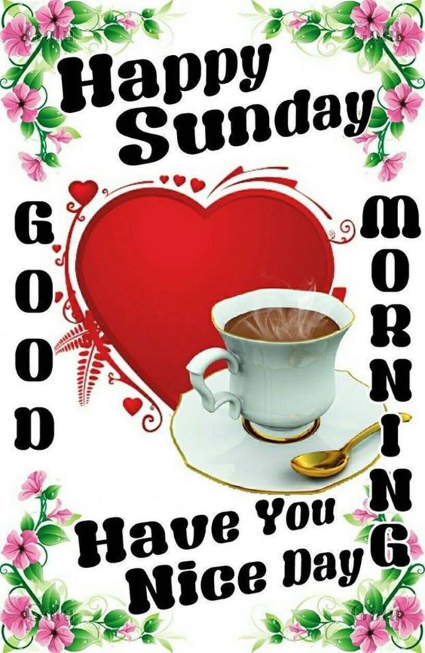 10 New Good Morning Sunday Quotes - picture 4