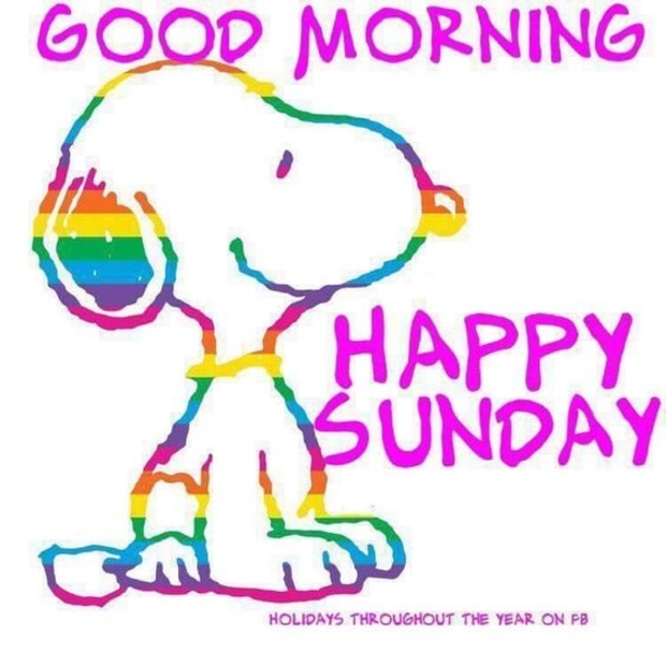 10 New Good Morning Sunday Quotes - picture 6