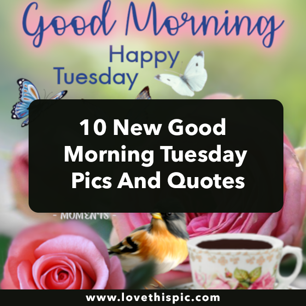 10 New Good Morning Tuesday Pics And Quotes