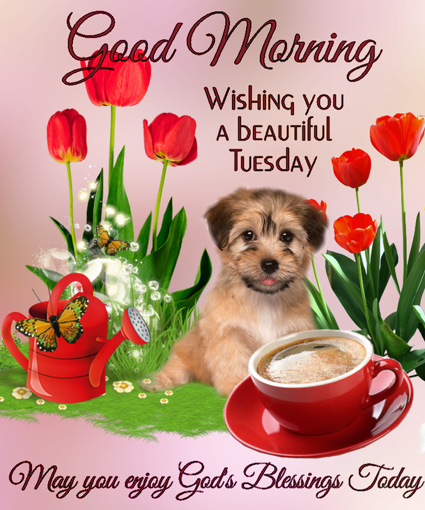 10 New Good Morning Tuesday Pics And Quotes - picture 11