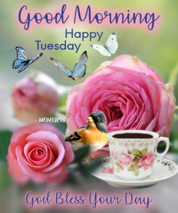 10 New Good Morning Tuesday Pics And Quotes - picture 2