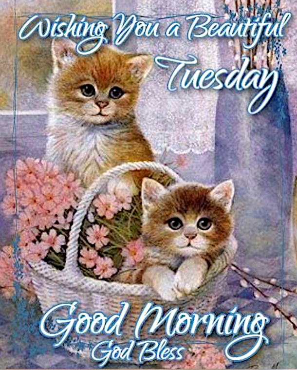 10 New Good Morning Tuesday Pics And Quotes - picture 3
