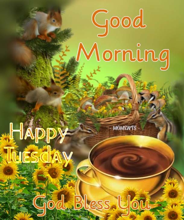 10 New Good Morning Tuesday Pics And Quotes - picture 4