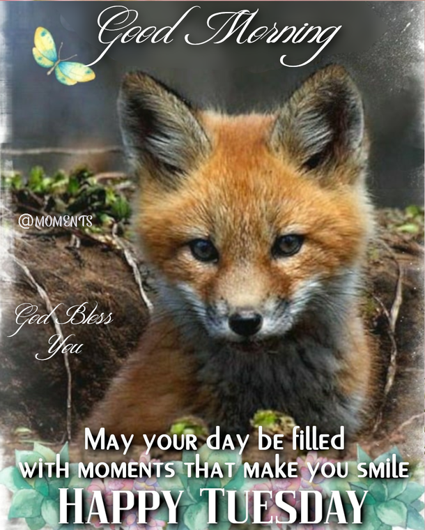 10 New Good Morning Tuesday Pics And Quotes - picture 5
