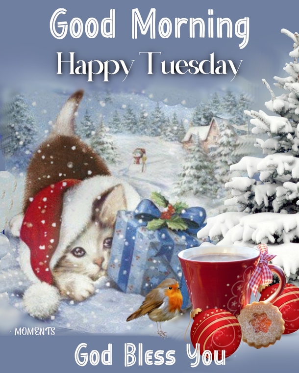 10 New Good Morning Tuesday Pics And Quotes - picture 7