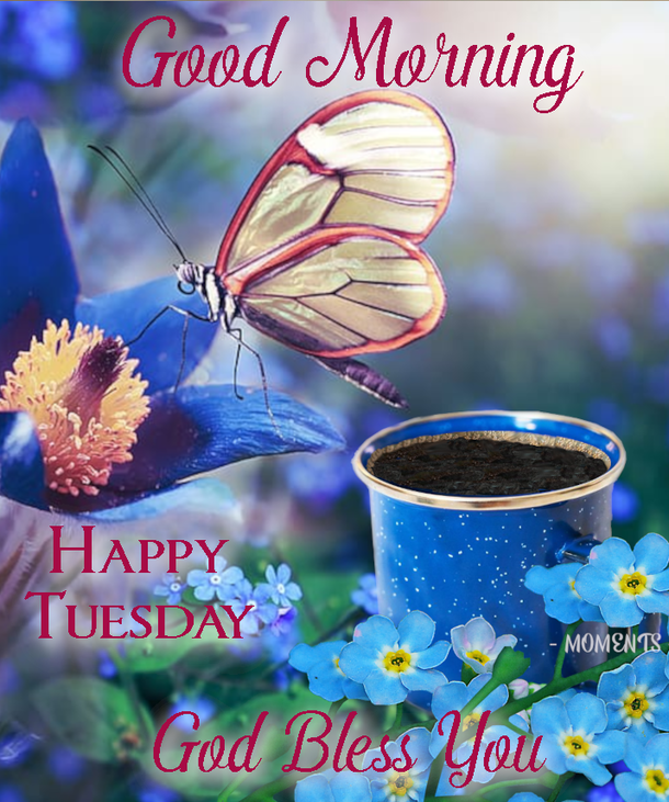 10 New Good Morning Tuesday Pics And Quotes - picture 8