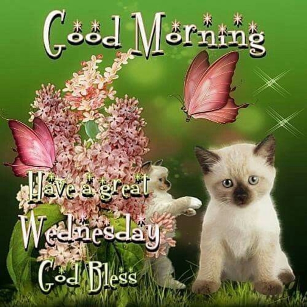 10 New Good Morning Wednesday Images & Quotes - picture 11