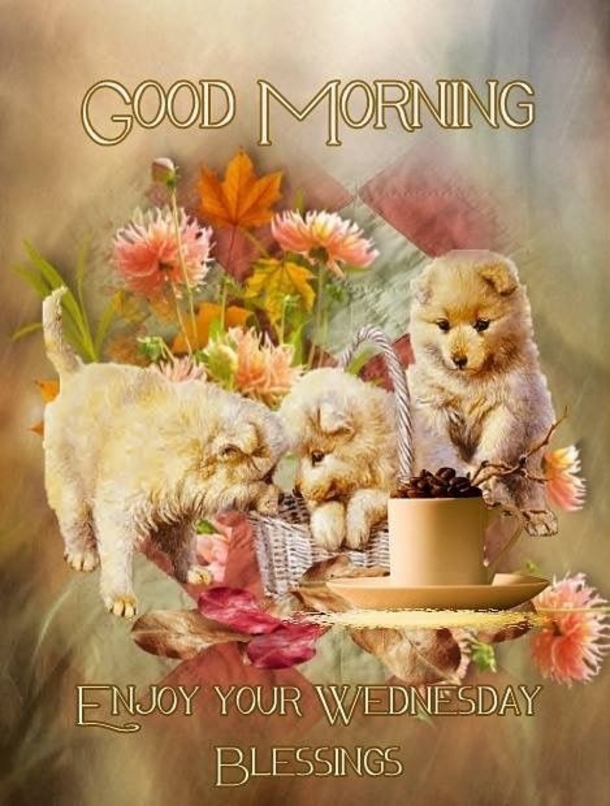 10 New Good Morning Wednesday Images & Quotes - picture 4