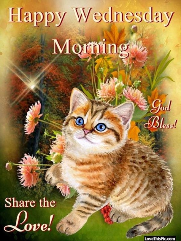 10 New Good Morning Wednesday Images & Quotes - picture 6