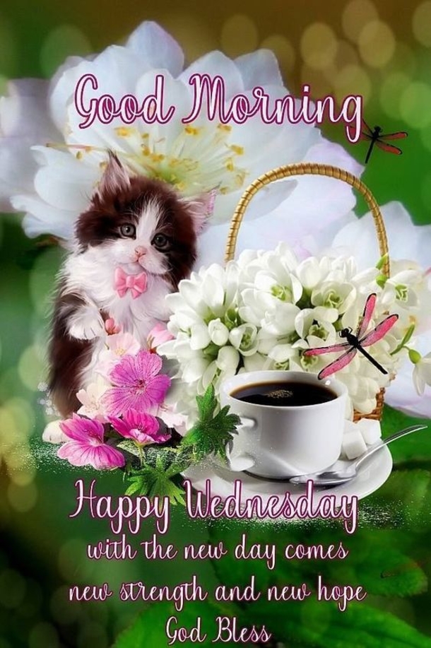 10 New Good Morning Wednesday Images & Quotes - picture 7