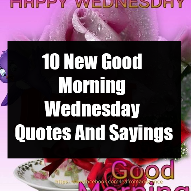 10 New Good Morning Wednesday Quotes And Sayings