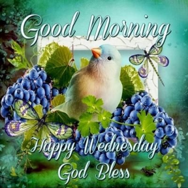 10 New Good Morning Wednesday Quotes And Sayings - picture 4