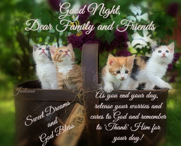 10 New Good Night Quotes With Beautiful Images - picture 10