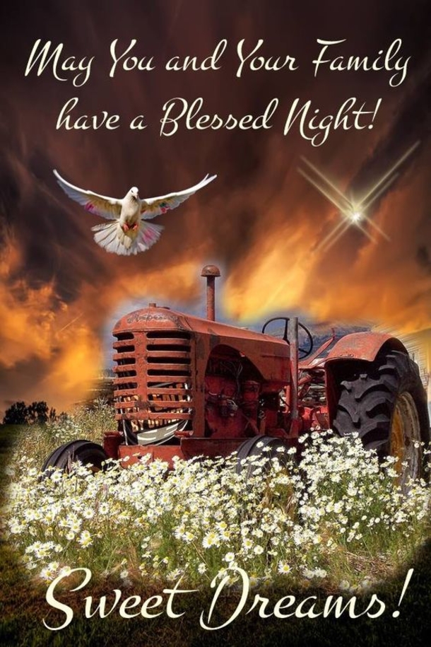 10 New Good Night Quotes With Beautiful Images - picture 3
