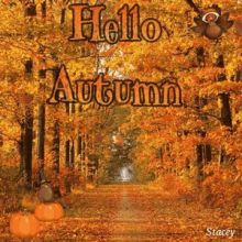 10 New Happy Autumn / Fall Quotes And Gifs - picture 3